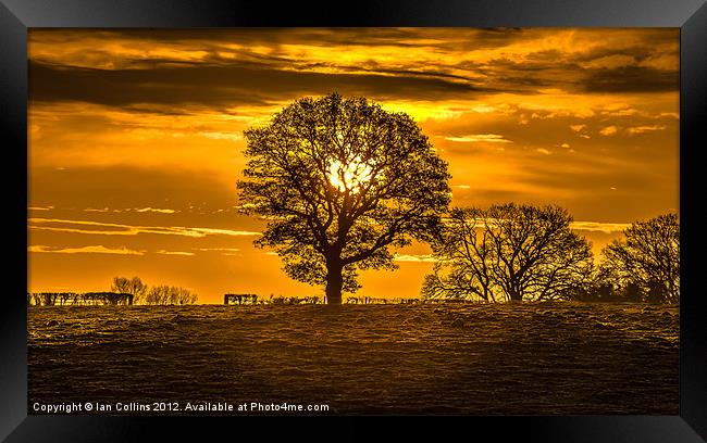 Sunrise Silhouette Framed Print by Ian Collins