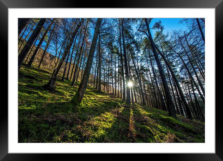 Elan Valley Wood Framed Mounted Print by Ian Collins