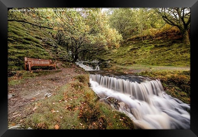  Autumn's best Seat Framed Print by Ian Collins