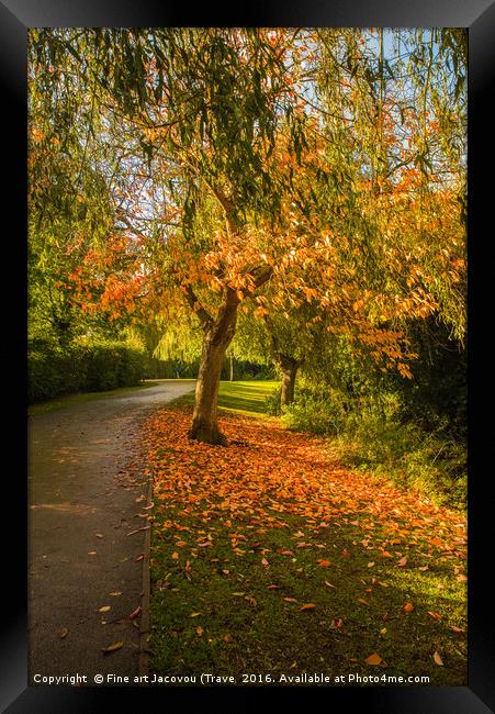 Autumnal colours  Framed Print by Jack Jacovou Travellingjour