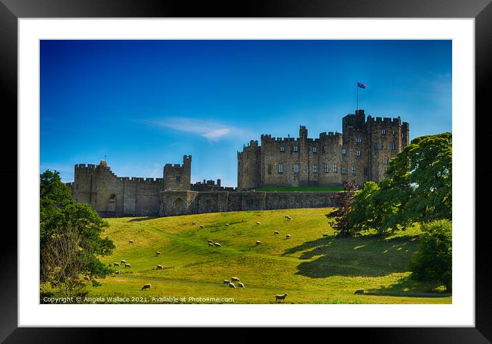 Alnwick Castle Framed Mounted Print by Angela Wallace