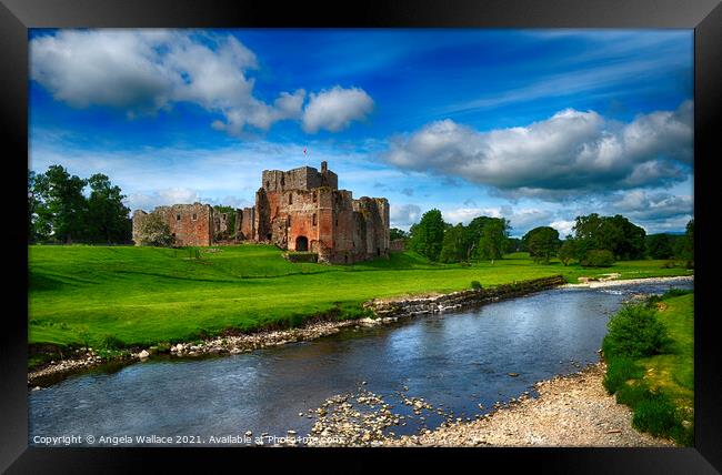 Brougham Castle Cumbria. Framed Print by Angela Wallace