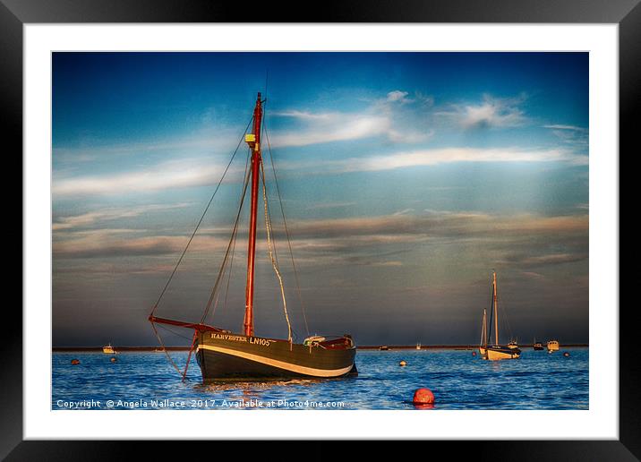 MOORED Framed Mounted Print by Angela Wallace