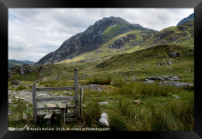 The Stile 2 Framed Print by Angela Wallace