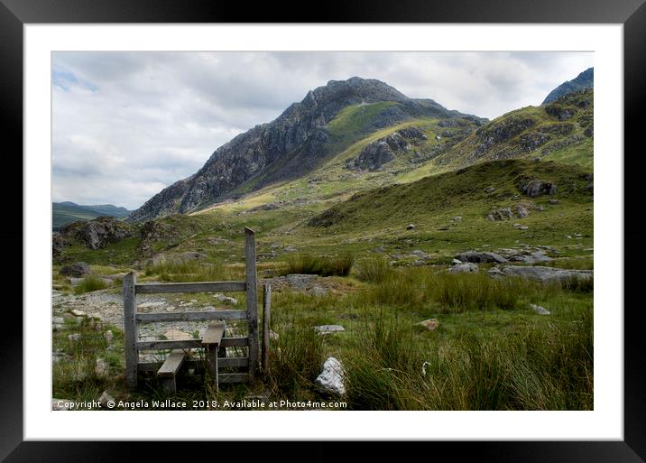The Stile 2 Framed Mounted Print by Angela Wallace