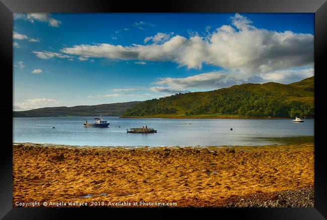 The Sound of Mull                 Framed Print by Angela Wallace
