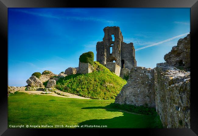 Corfe Castle and gardens                    Framed Print by Angela Wallace