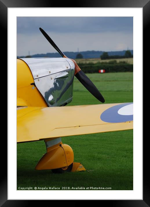Single wing yellow plane Framed Mounted Print by Angela Wallace