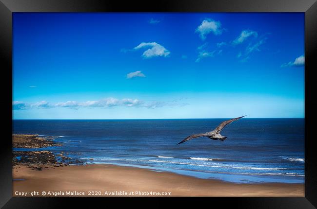 A Birds Eye View Framed Print by Angela Wallace