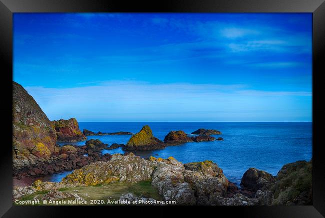 Lichen on the rocks Framed Print by Angela Wallace