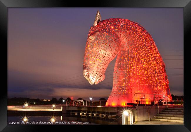 Kelpie with reflections Framed Print by Angela Wallace