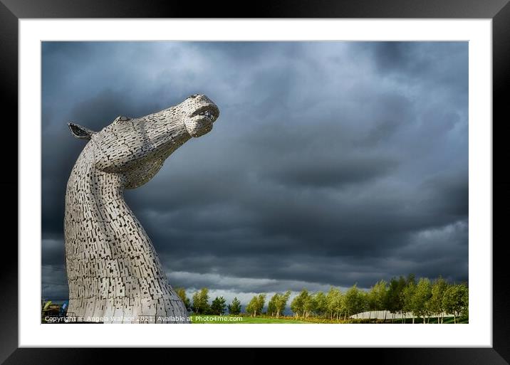 Towering Kelpie  Framed Mounted Print by Angela Wallace