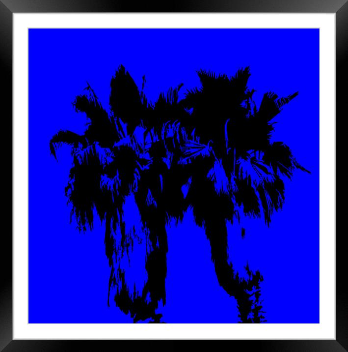 TWO PALM TREES Framed Mounted Print by Robert Happersberg
