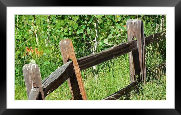  THE CROOKED FENCE Framed Mounted Print by Robert Happersberg