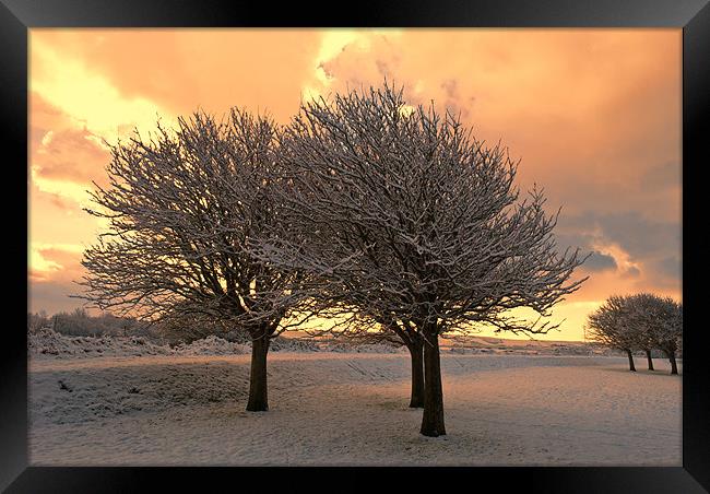 Snow Scene Framed Print by Dave Wilkinson North Devon Ph