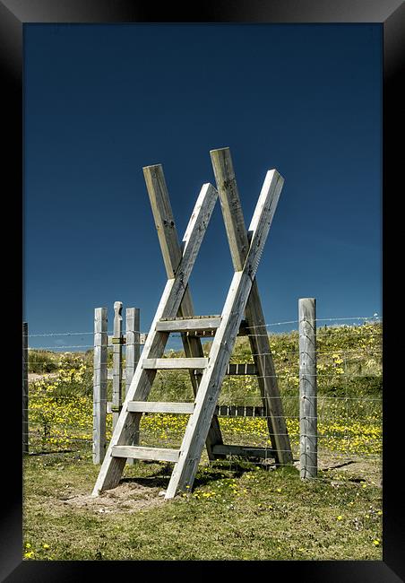 Braunton Burrows Framed Print by Dave Wilkinson North Devon Ph