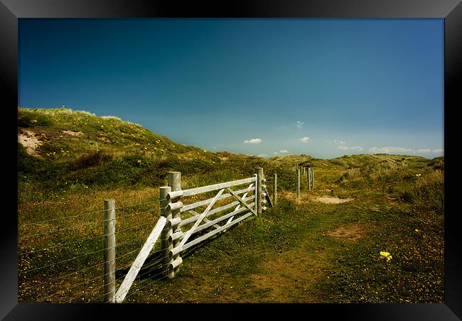 Braunton Burrows Framed Print by Dave Wilkinson North Devon Ph