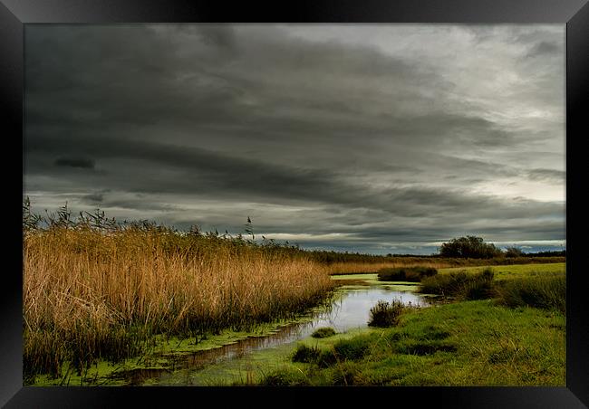 Braunton Marsh Framed Print by Dave Wilkinson North Devon Ph