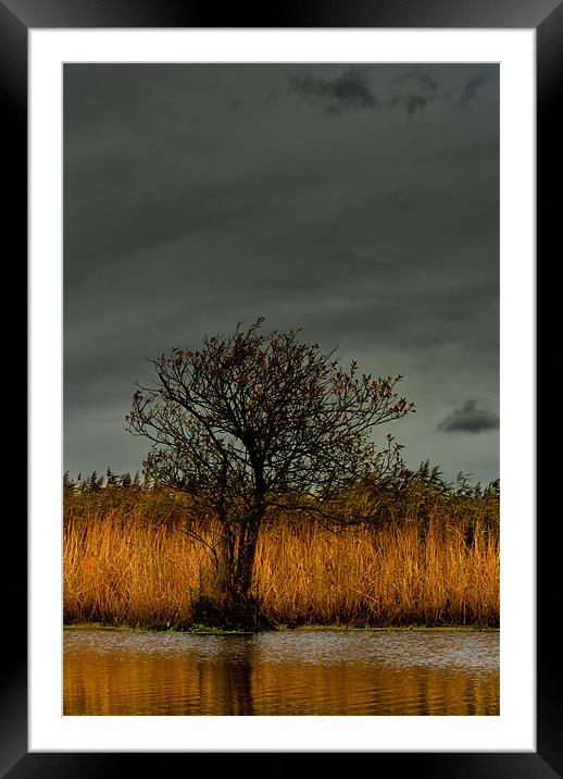 Braunton Marsh Framed Mounted Print by Dave Wilkinson North Devon Ph