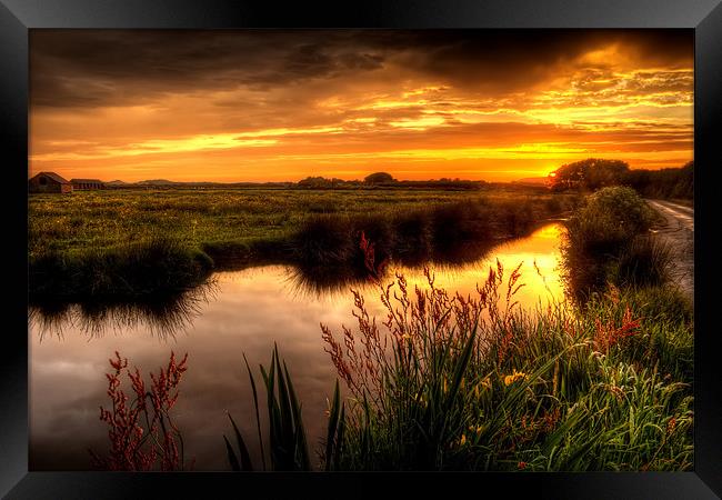 Braunton Marsh sunset Framed Print by Dave Wilkinson North Devon Ph