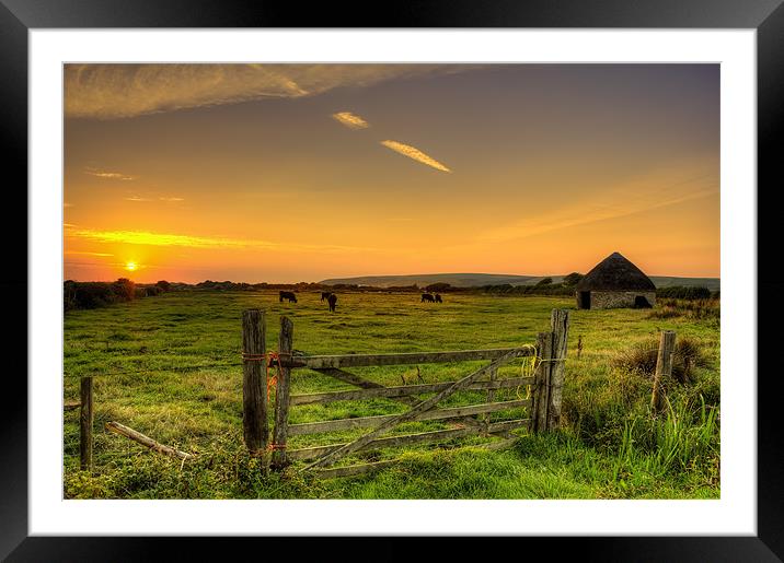 Braunton Marsh North Devon Framed Mounted Print by Dave Wilkinson North Devon Ph