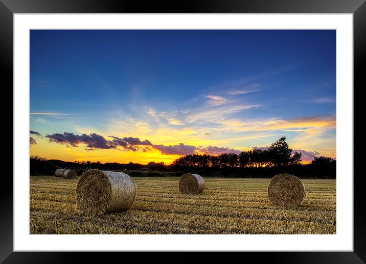 Braunton Greatfield North Devon Framed Mounted Print by Dave Wilkinson North Devon Ph