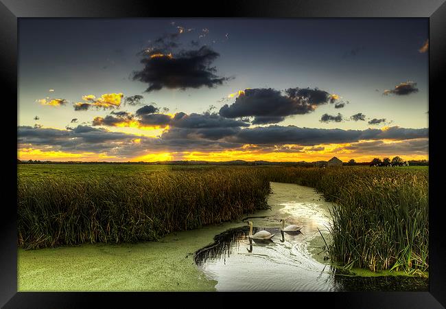 Braunton Marsh North Devon Framed Print by Dave Wilkinson North Devon Ph