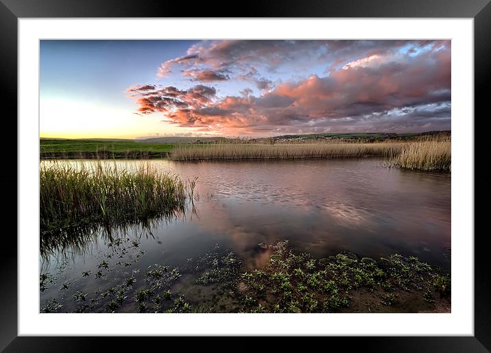 Duck Ponds Framed Mounted Print by Dave Wilkinson North Devon Ph