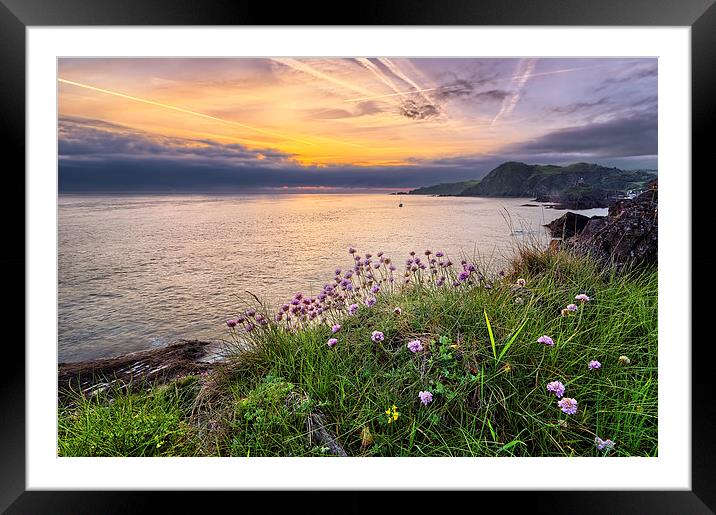 Ilfracombe Sunrise Framed Mounted Print by Dave Wilkinson North Devon Ph