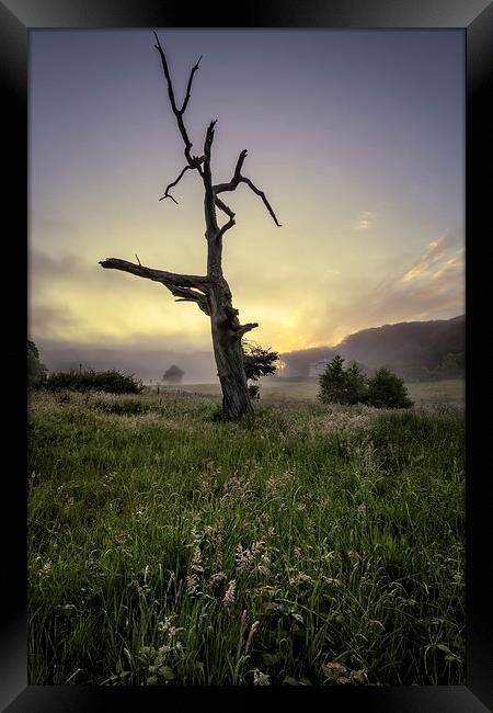 Misty summer sunrise Framed Print by Dave Wilkinson North Devon Ph