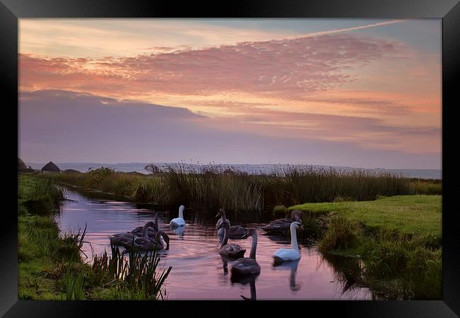  Braunron Marsh, North Devon. Framed Print by Dave Wilkinson North Devon Ph