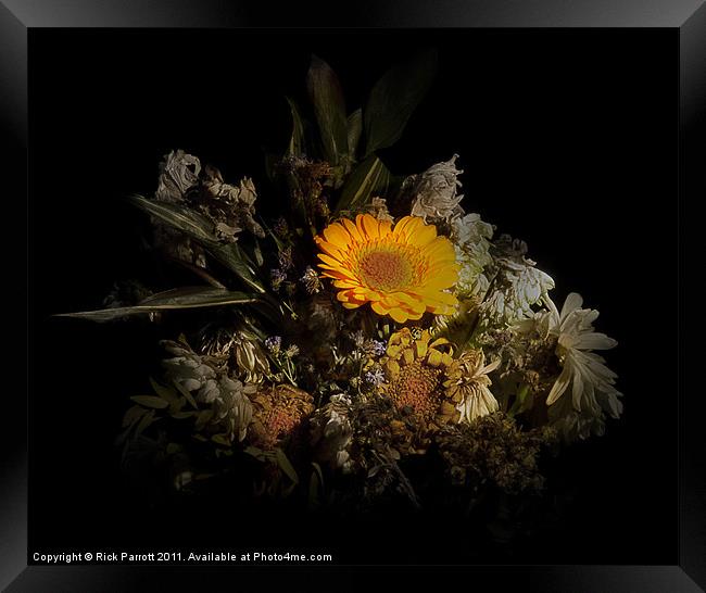 Still Life Flower Bouquet Gerbera Framed Print by Rick Parrott