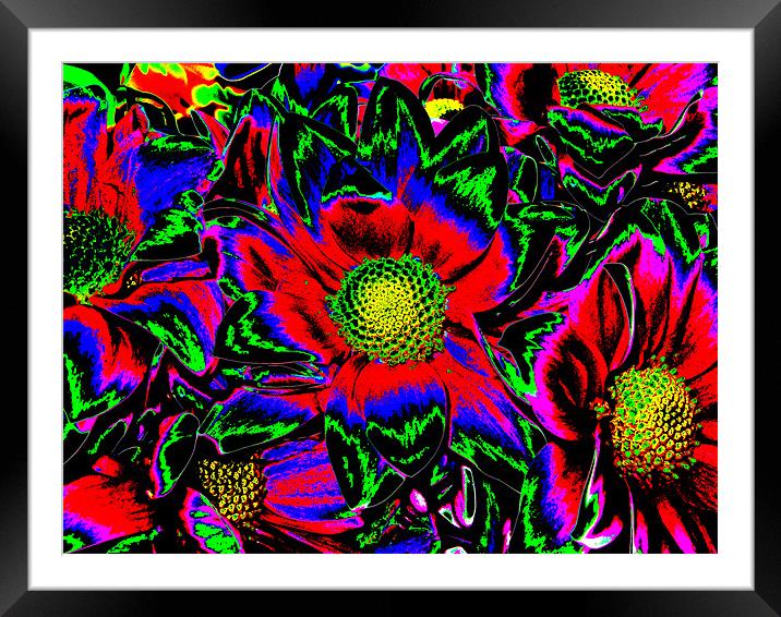 Psychedelic Flowers 02 Framed Mounted Print by Rick Parrott