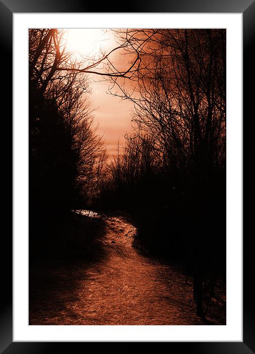 Stay on the Path Framed Mounted Print by kurt bolton