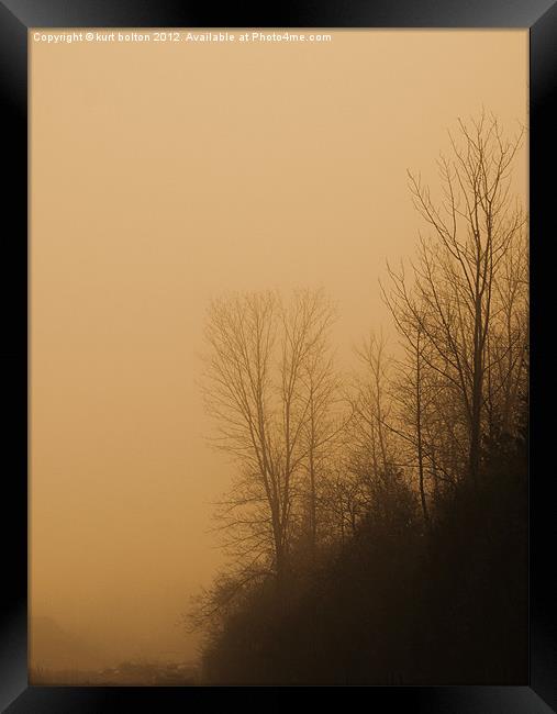 Forest Fog Framed Print by kurt bolton
