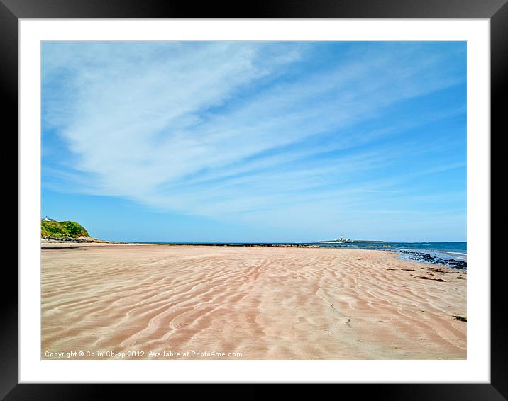 Coquet Island Framed Mounted Print by Colin Chipp