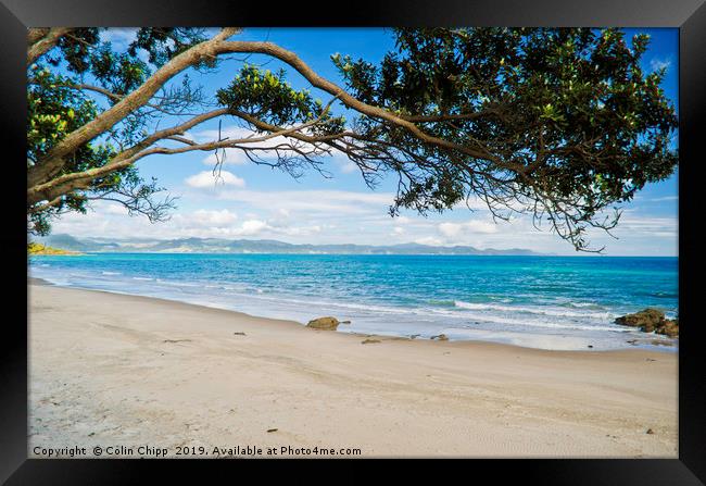 Iron Tree Framed Print by Colin Chipp