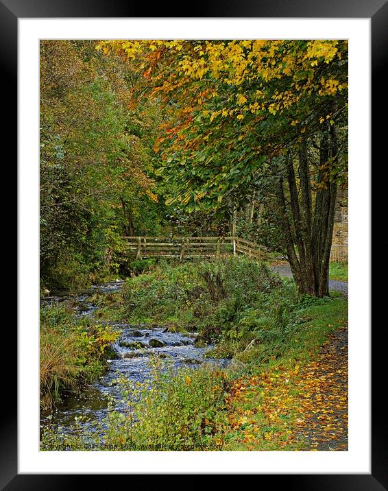 The old bridge in Autumn Framed Mounted Print by Colin Chipp