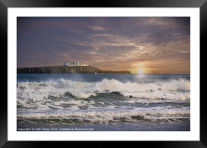 Early morning on the Farnes Framed Mounted Print by Colin Chipp