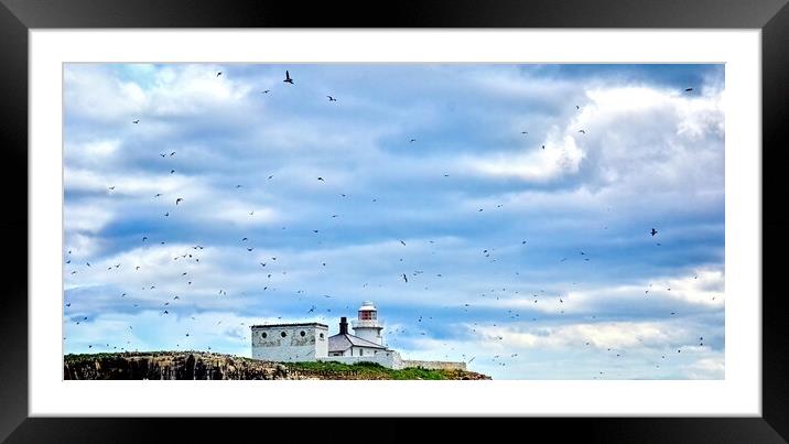 Busy sky Framed Mounted Print by Colin Chipp