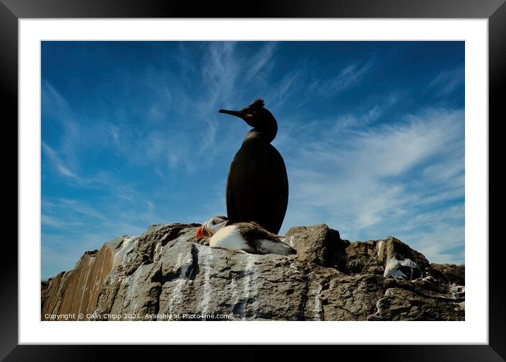 Little and large Framed Mounted Print by Colin Chipp
