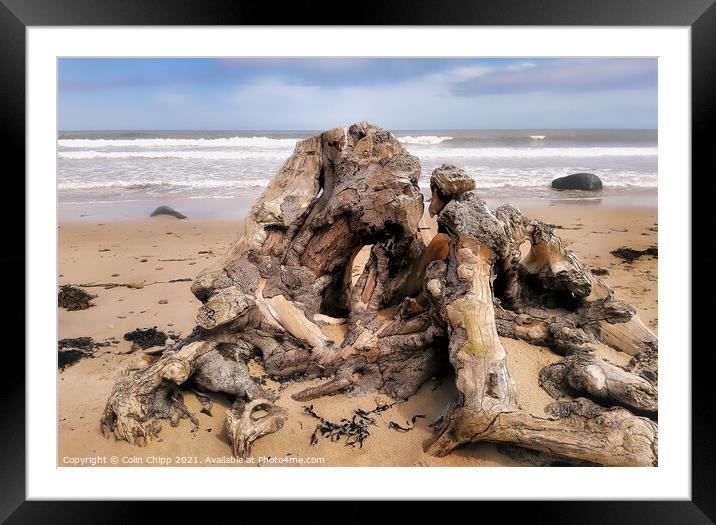 Driftwood Framed Mounted Print by Colin Chipp