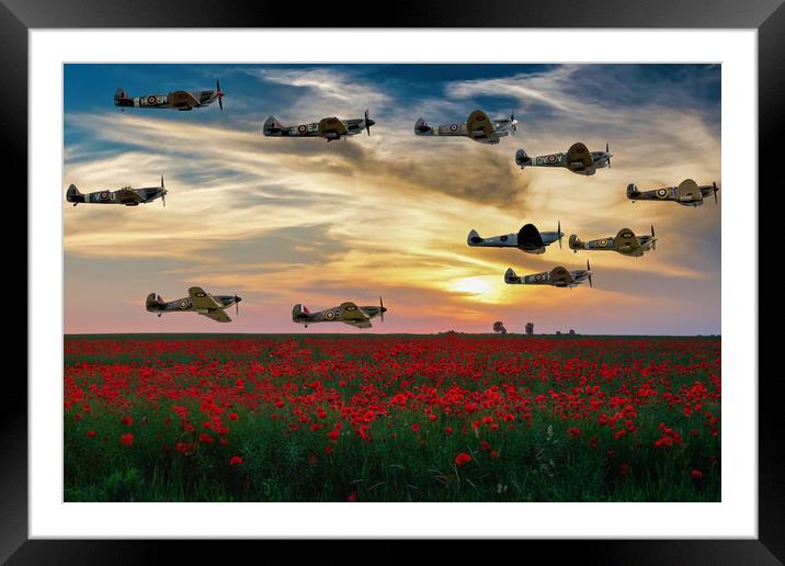 Spitfires Over The Poppy Field Framed Mounted Print by Derek Beattie