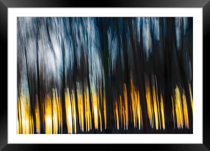 Forest Sunset in the Snow Framed Mounted Print by Derek Beattie