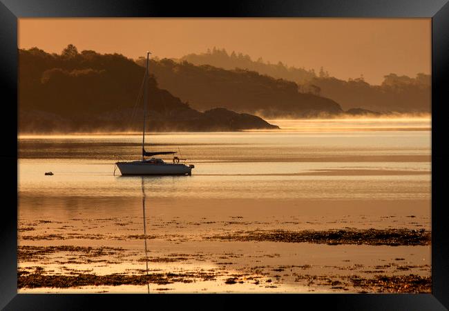 Yacht at sunrise on Loch Sunart Framed Print by Derek Beattie