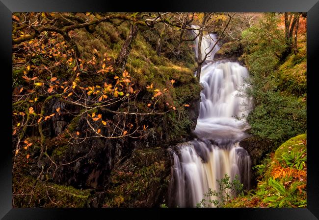 Buchan Falls Glentrool Scotland Framed Print by Derek Beattie