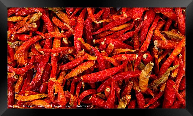 Red Hot Chilies Framed Print by Jaya Sharma