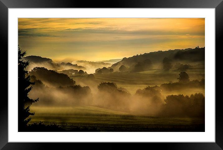 Early Morning in the Ardennes Framed Mounted Print by Steven Else ARPS