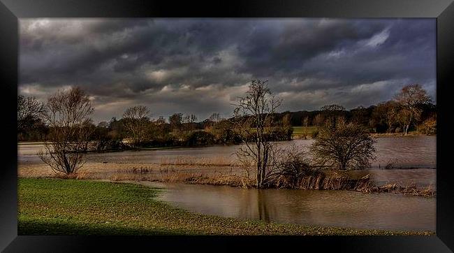 Flooded fields Framed Print by Steven Else ARPS