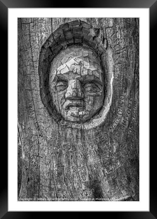 Ancient Echoes: Tree Trunk Art by Andrea Gandini Framed Mounted Print by William AttardMcCarthy